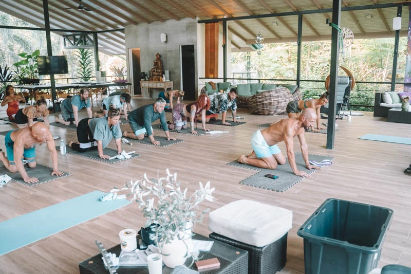 PRIMAL Movement with Lloyd